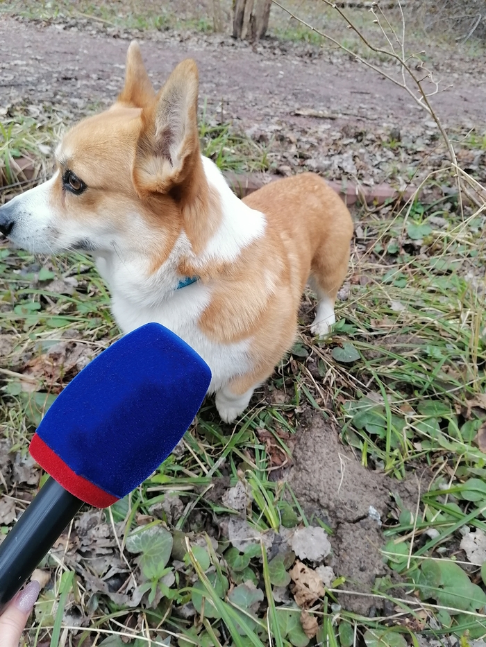 ������ ������. �������� ������������ �������������� ������������