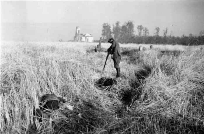 For us, it's three photos, for them the end of their fight and life. - My, The Great Patriotic War, The Second World War, Civil uprising, Longpost