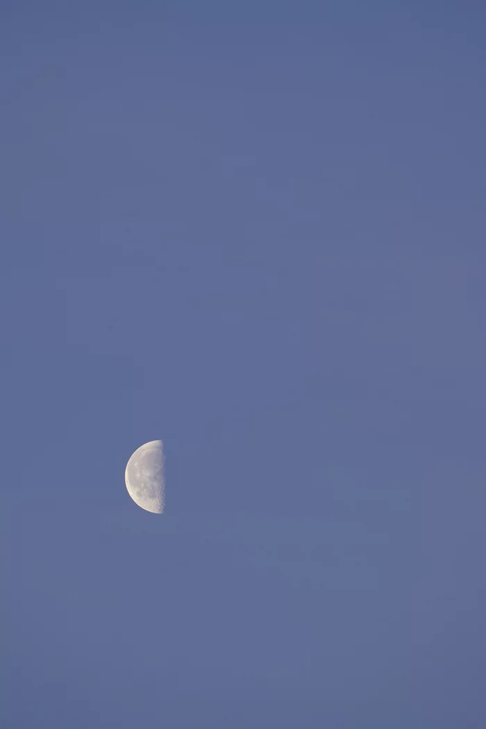Moon at Dawn - Longpost, Vertical video, Video, Таймлапс, dawn, Sunrises and sunsets, Sunrise, The sun, moon, My