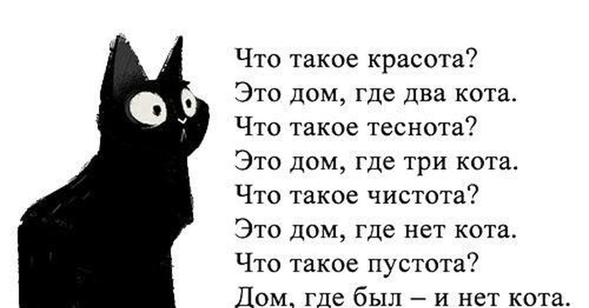 Слова про черный. Стих про черного кота. Что такое пустота это дом где нет кота. Стишок про черного котика. Стишки про котов.