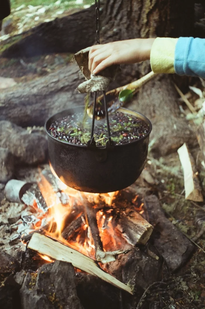 Camping tea - My, Hike, Forest, Bonfire, Altai Republic, Film