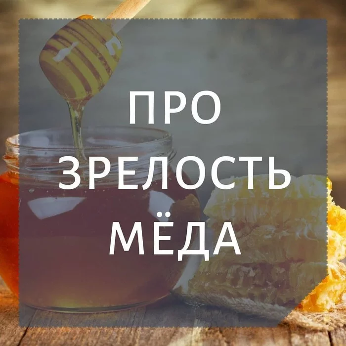 Про зрелость мёда - Моё, Мёд, Пчелы, Пасека, Пчеловодство, Натуральные продукты, Здоровье, Видео, Без звука, Длиннопост