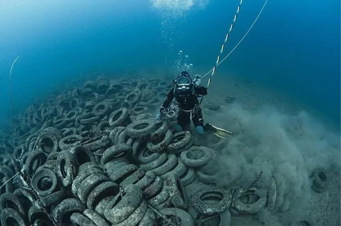 История рифа Осборн или что стало с 2 миллионами затопленных шин у берегов Флориды США, Флорида, Риф, Океан, Кораллы, Шины, Экология, Повтор, Переработка мусора, Познавательно, Факты, История, Морские обитатели, Видео, YouTube, Длиннопост История рифа Осборн или что стало с 2 миллионами затопленных шин у берегов Флориды США, Флорида, Риф, Океан, Кораллы, Шины, Экология, Повтор, Переработка мусора, Познавательно, Факты, История, Морские обитатели, Видео, YouTube, Длиннопост