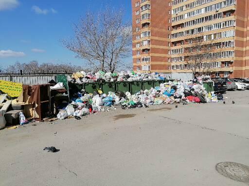 Garbage Strike Week in Novosibirsk - My, Novosibirsk, Garbage, Strike, Ecology, Siberia