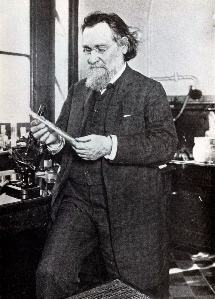 ���� ��������