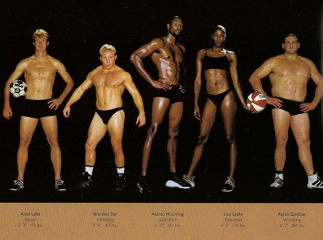 Comparison of athletes' bodies in different disciplines - Sport, The photo, Body, Models, PHOTOSESSION, Beautiful, Long, Longpost