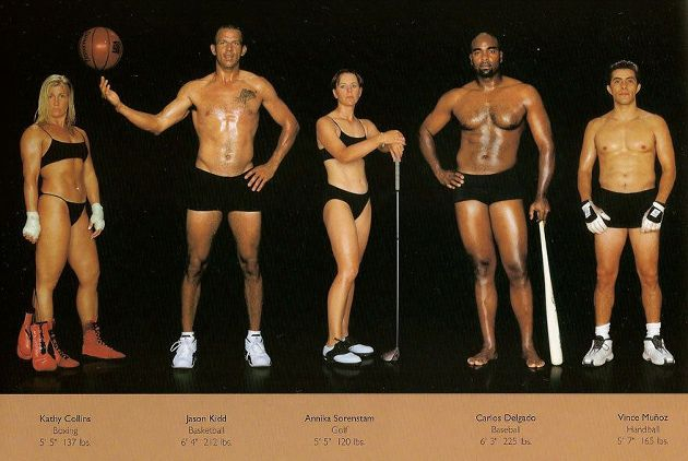 Comparison of athletes' bodies in different disciplines - Sport, The photo, Body, Models, PHOTOSESSION, Beautiful, Long, Longpost