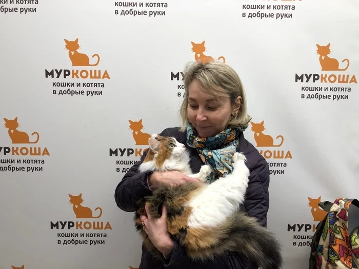 We are glad to share our successes with you - My, Murkosh shelter, Animal shelter, cat, Touching, Making the World Better, Found a home, Positive, Video, Youtube, Longpost