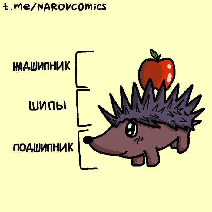 �������� ���