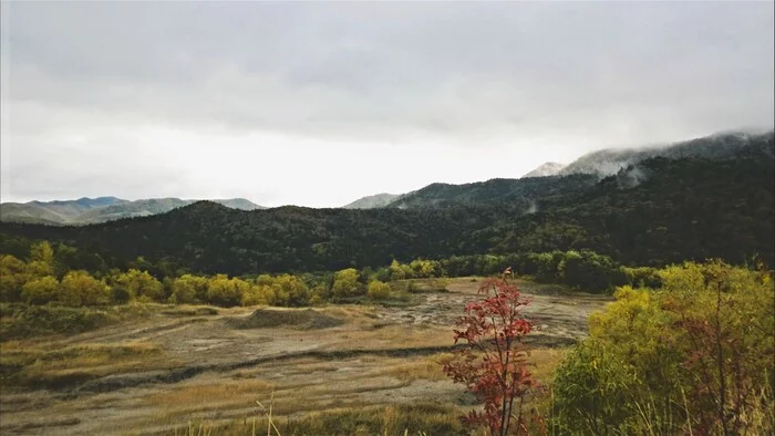 Hills - My, Island, Sakhalin, Hills, Nature, Forest