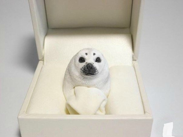 Japanese artist Jiro Miura invented and created rings in the form of adorable animals - Ring, Animals, Milota, Seal, Panda, Rabbit, Hedgehog, Fenech, Salamander, Polar bear, Longpost