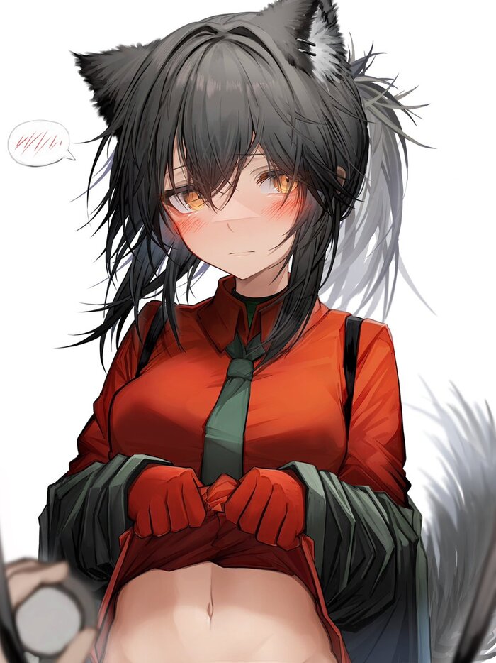 Arknights operators , Anime Art, Arknights, Texas (Arknights), Exusiai, Rosmontis, Mudrock, Carnelian, Frostleaf, Lappland, , Animal Ears