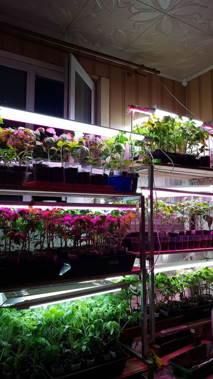 ������� ��������