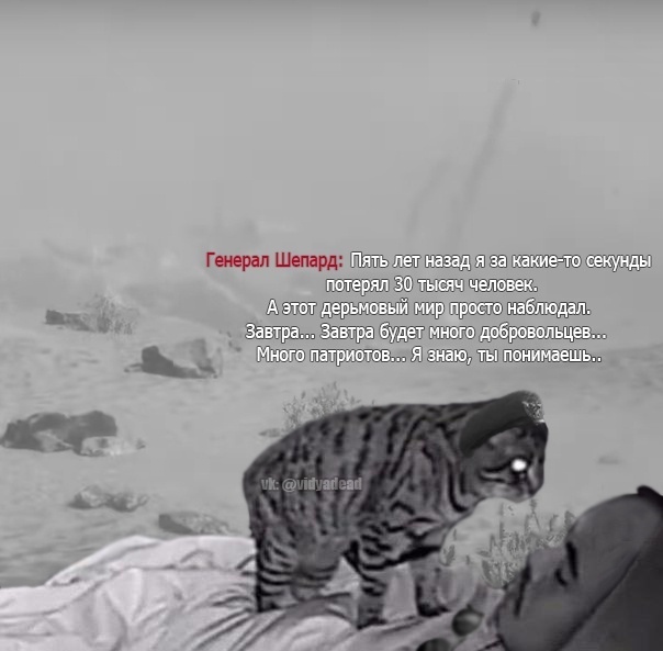 Modern Warfare 2 ending - Memes, Picture with text, Games, cat, Call of Duty: Modern Warfare 2