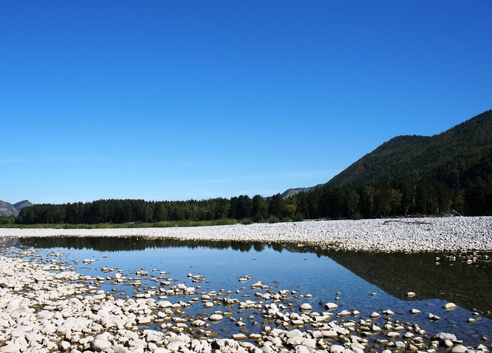 ����� �������� �����