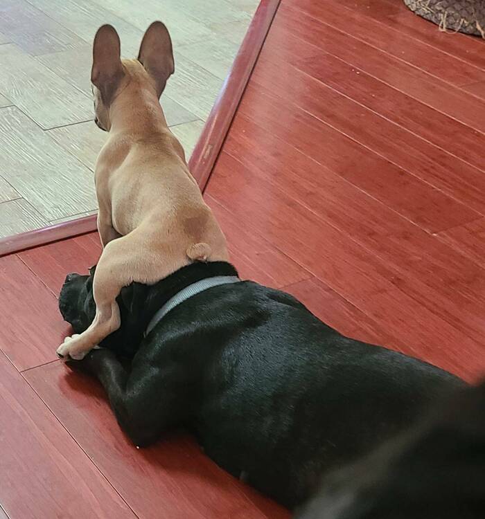 Да что вы знаете о терпении?