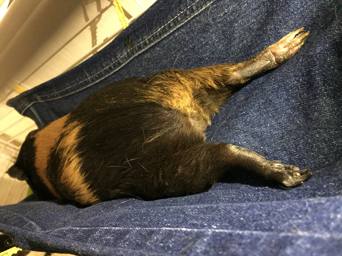 ����� �������� ����� ����� ���� ������... �������� ��������, ����, ���, ������� ������, ����������