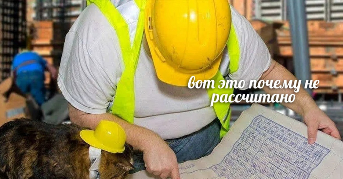 Котик на заводе мем