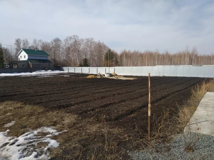 Marker for planting garlic - My, Gardening, Farmer, Garlic, Seeds, Mechanization, Video, Longpost