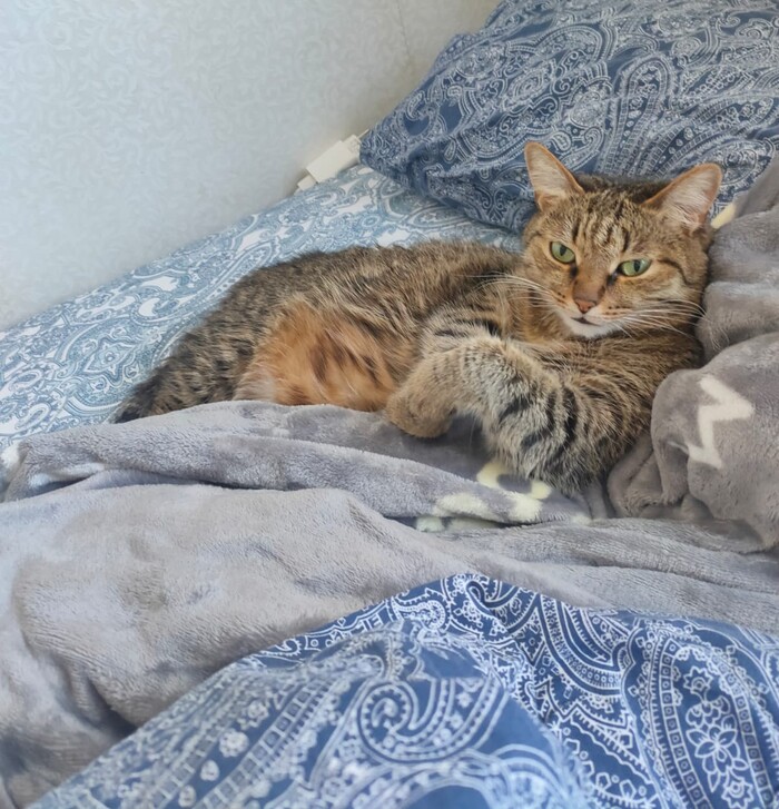 Привет сладенький