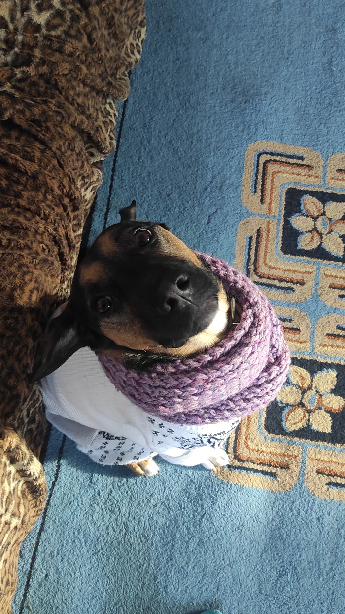 ����� �� ��������� ���� � ������ ����