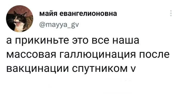 Не плохо так накрыло - Twitter, Галлюцинации, Коронавирус, Скриншот