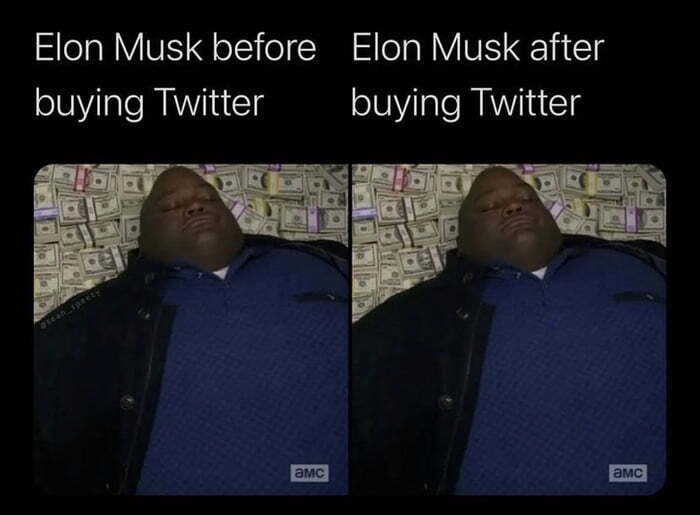 Elon Musk before and after buying Twitter - Elon Musk, Twitter, Purchase, Breaking Bad, Picture with text, Money, Heap