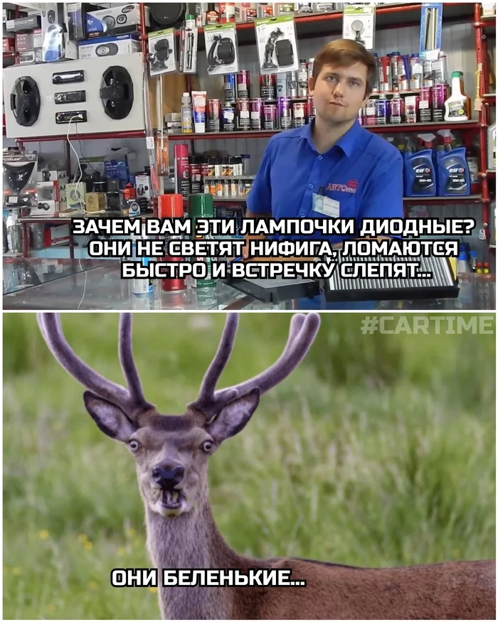 White... - My, Memes, Auto, Led, Lamps for cars, Deer, Picture with text