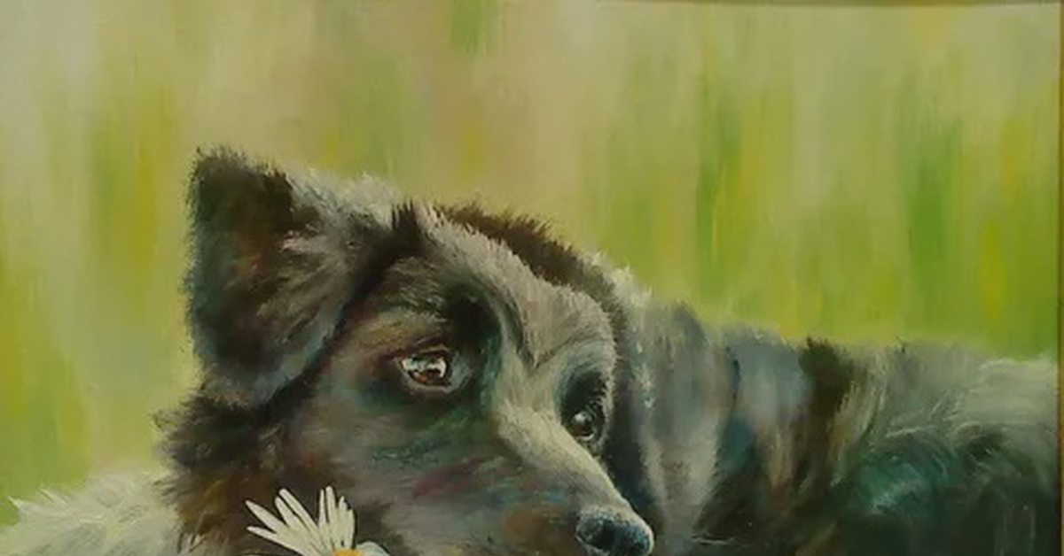 Картина верный. Собаки в современной живописи. Собаки на картинах художников. Щенок живопись. Картина маслом собака.