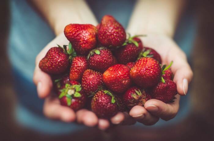 Kherson farmers began to supply strawberries to the Crimea - news, Russia, Politics, Society, Strawberry (plant), Berries, Economy