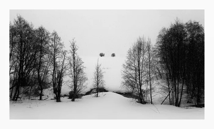 April 2022. Vladimir region. Russia - My, The photo, Landscape, Russia, Black and white photo, Vladimir region, Spring, Snow