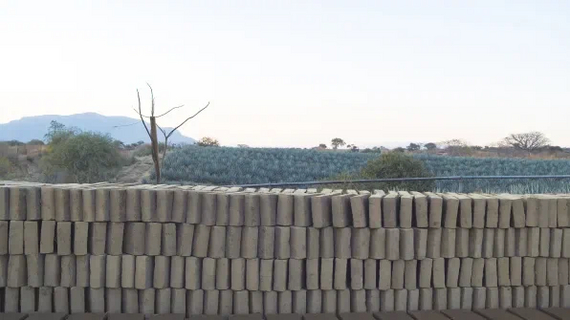 Kendall Jenner's company turned tequila waste into bricks for a children's library - Garbage, Ecology, Tequila, Kendall Jenner, Waste recycling, Building, Longpost