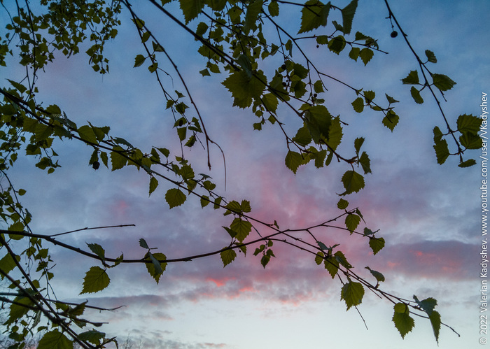 Весна — это время для новых начинаний