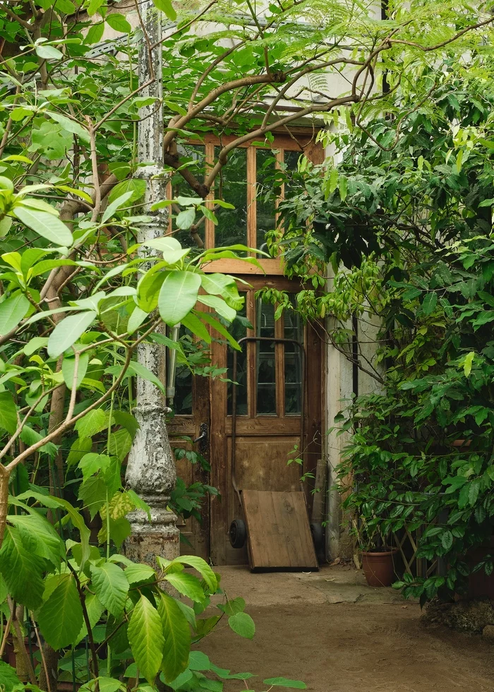 Architecture of greenhouses. Details - My, Plants, Beautiful, Architecture, Interior, Botanical Garden, Greenhouse, Details, Longpost