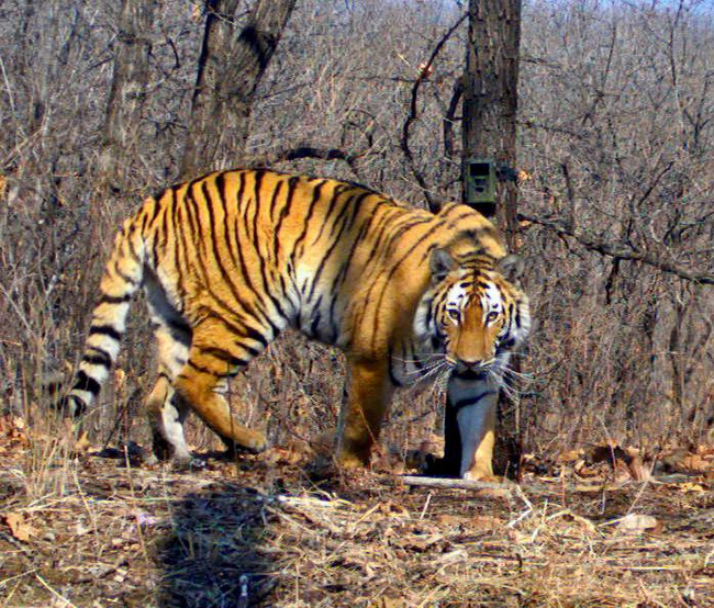 ��� ��� �� ������ � �����? ���, �� ������...