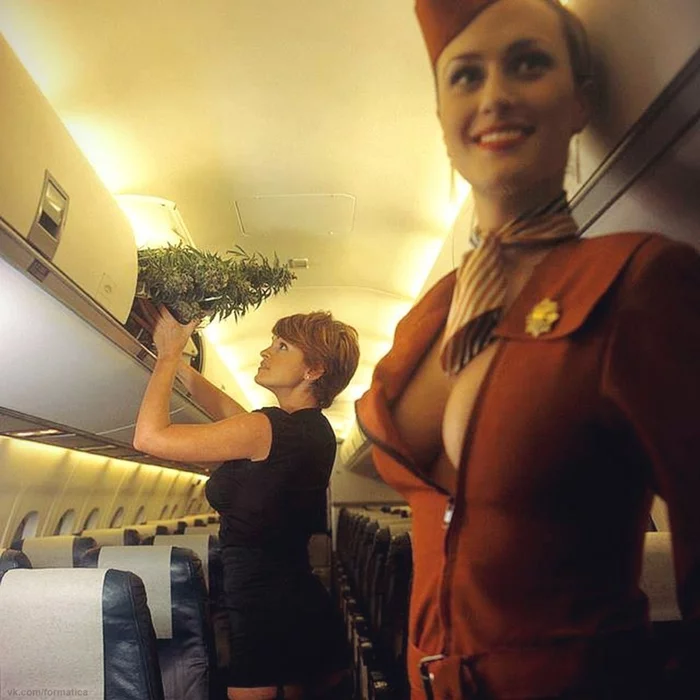 I really want to on this flight, well please - The photo, Girls, Stewardess, Boobs, Marijuana, Airplane