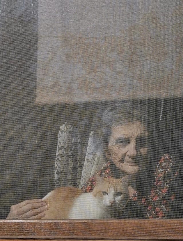 «Сегодня был в гостях у моей 93-летней бабушки. Сделал фото, когда уходил» Бабушка, Фотография, Душевно, Кот