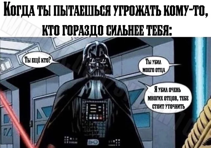 You realize how slightly you have narrowed the circle of conjectures. - Star Wars, Darth vader, Memes, Comics, Picture with text