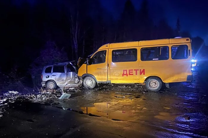 In the Angara region, criminal cases were opened after an accident in which seven children from an orphanage were injured - news, Incident, Society, Children, Road accident, Negative, Russia, Irkutsk