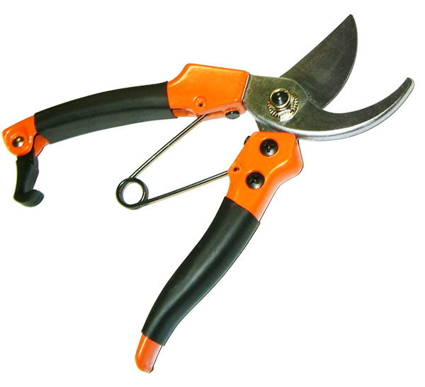 Pruner - My, Pruner, Gardening