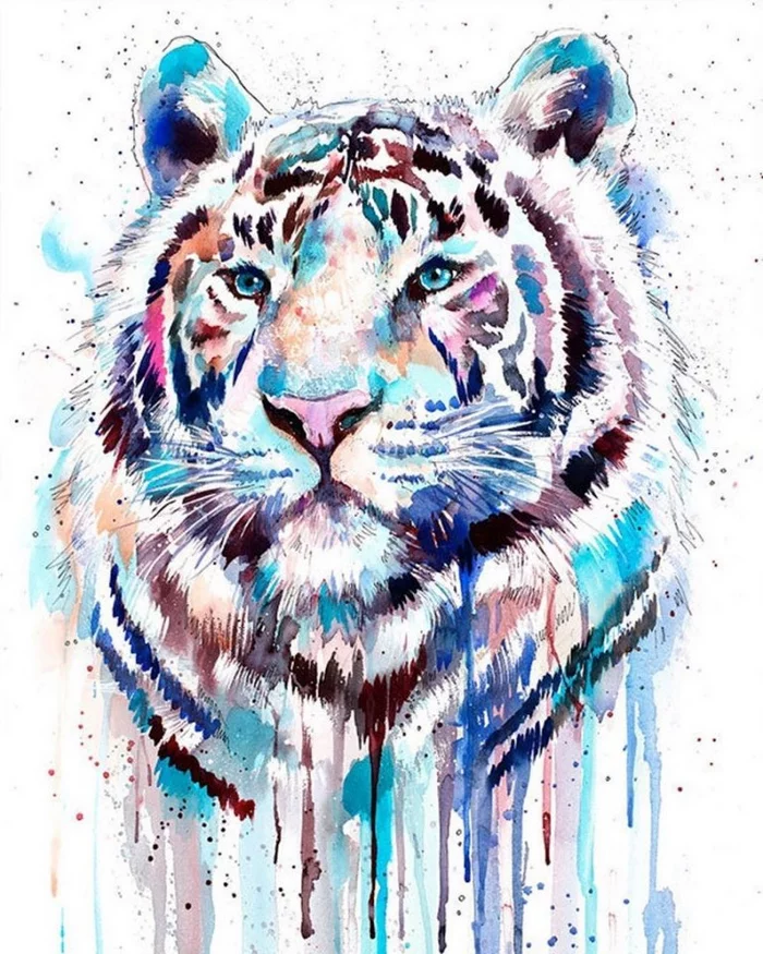 Wild cats of Slaveyka Aladzheva - Art, Wild animals, Big cats, Snow Leopard, Lynx, a lion, Lioness, White tiger, Cheetah, Puma, Caracal, Jaguar, Longpost, Drawing