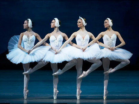 Do you love ballet as much as I do? - Ballet, Swan Lake, Milota, Politics