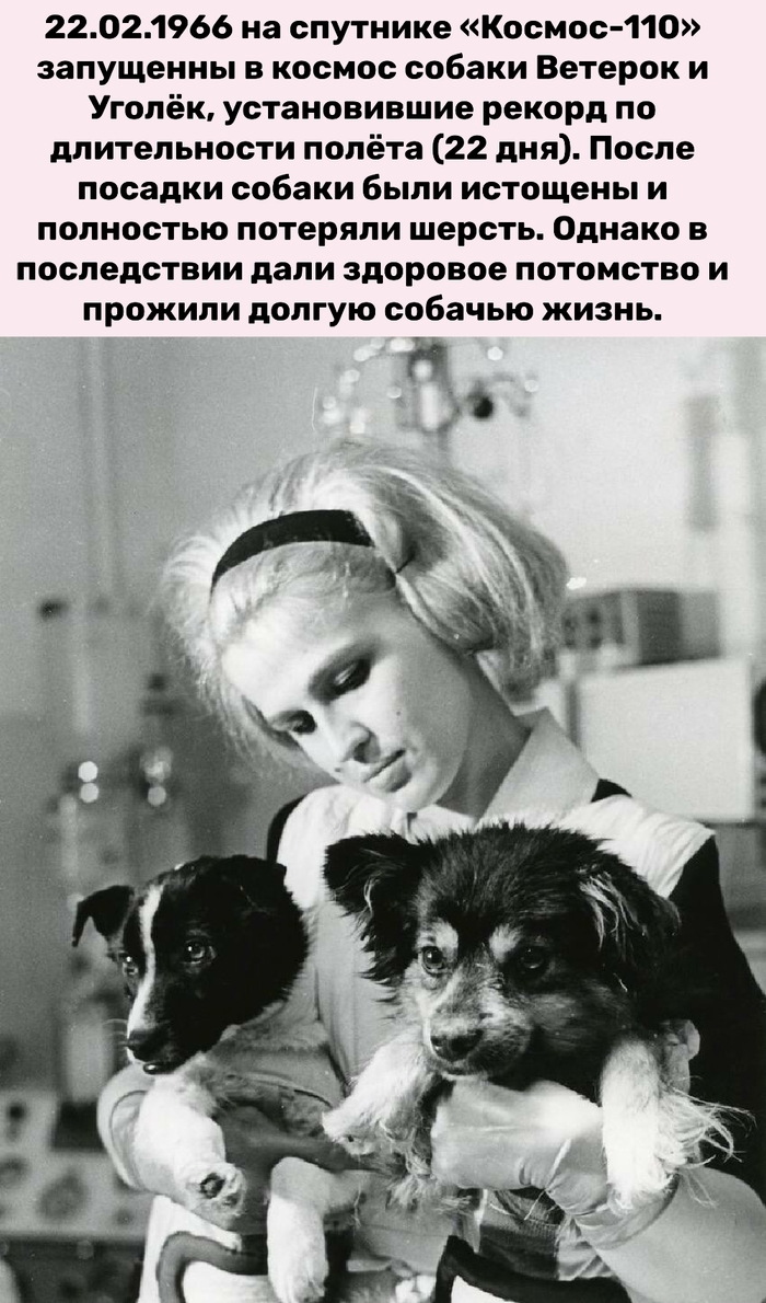 ������� � ������