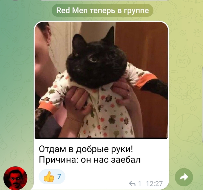 ������������ 80 ������