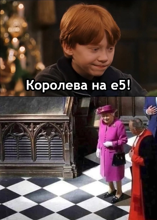 In this chess, this piece will outlive everyone. - Harry Potter, Harry Potter and the Philosopher's Stone, Ron Weasley, Chess, Queen, Queen Elizabeth II, Picture with text, Translated by myself