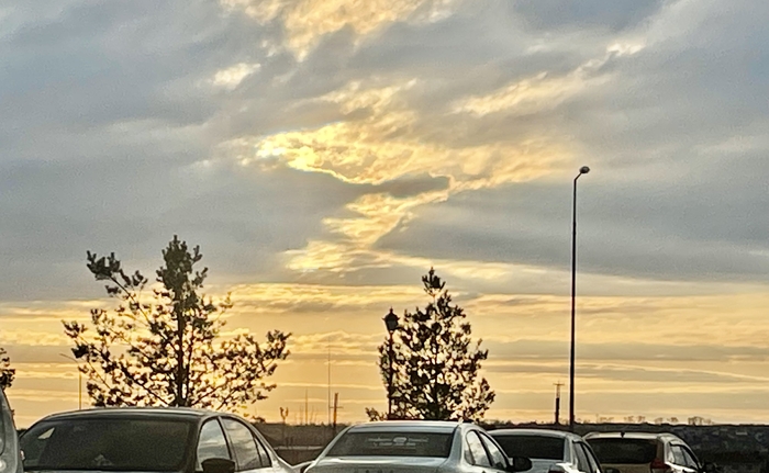 ����� ���� � ����