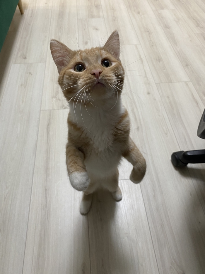 ����� ����������