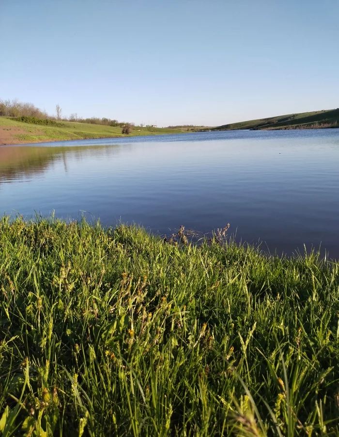 And the grass is knee-deep. - Nature, River, The nature of Russia