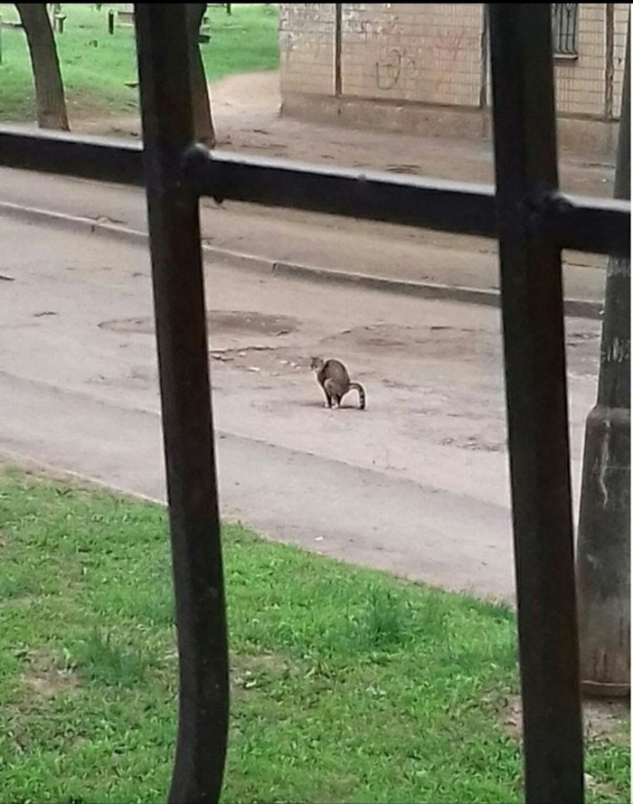 ������� ������� ������