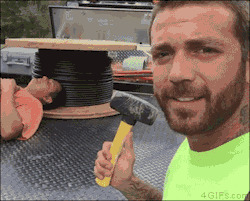  Gif , , , 